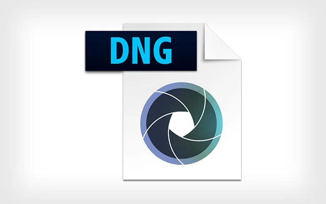 DNG stands for Digital Negative