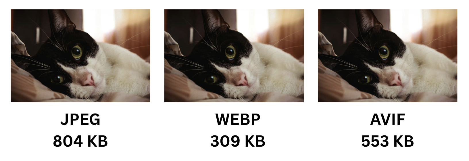 Best formats in a nutshell