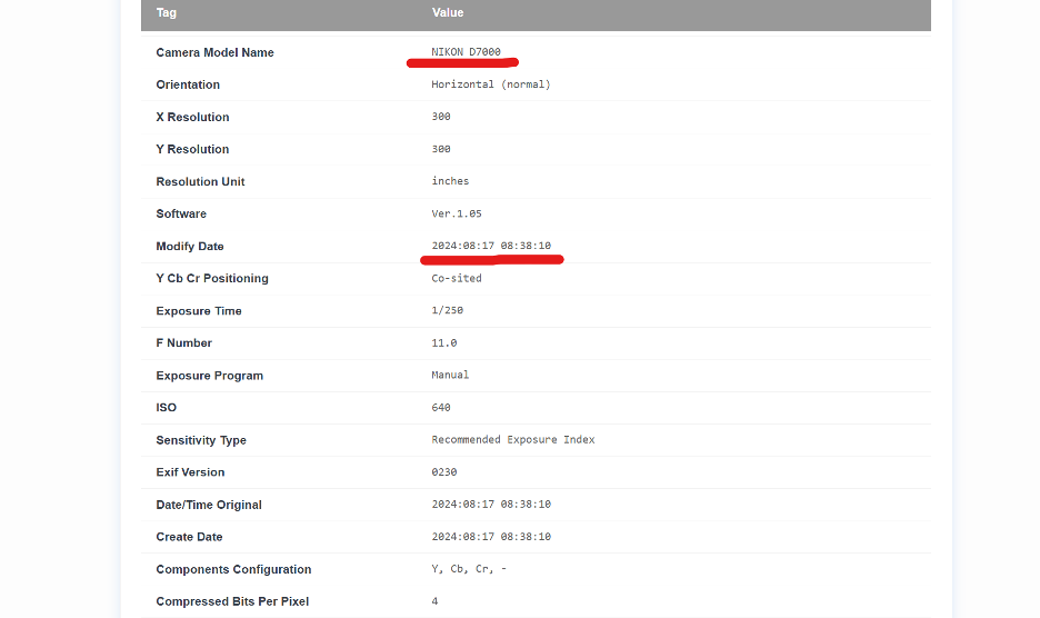 EXIF metadata fields in a photo: camera model, exposure, ISO, date — the kind of data -strip would wipe